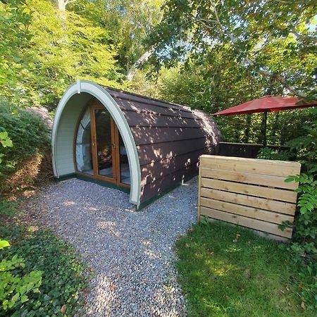 Priory Glamping Pods And Guest Accommodation Killarney Eksteriør billede