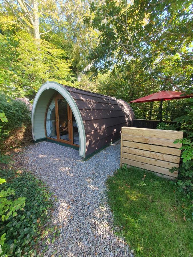 Priory Glamping Pods And Guest Accommodation Killarney Eksteriør billede