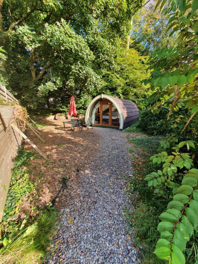 Priory Glamping Pods And Guest Accommodation Killarney Eksteriør billede