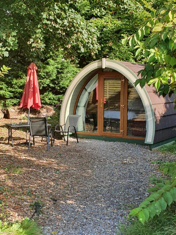 Priory Glamping Pods And Guest Accommodation Killarney Eksteriør billede