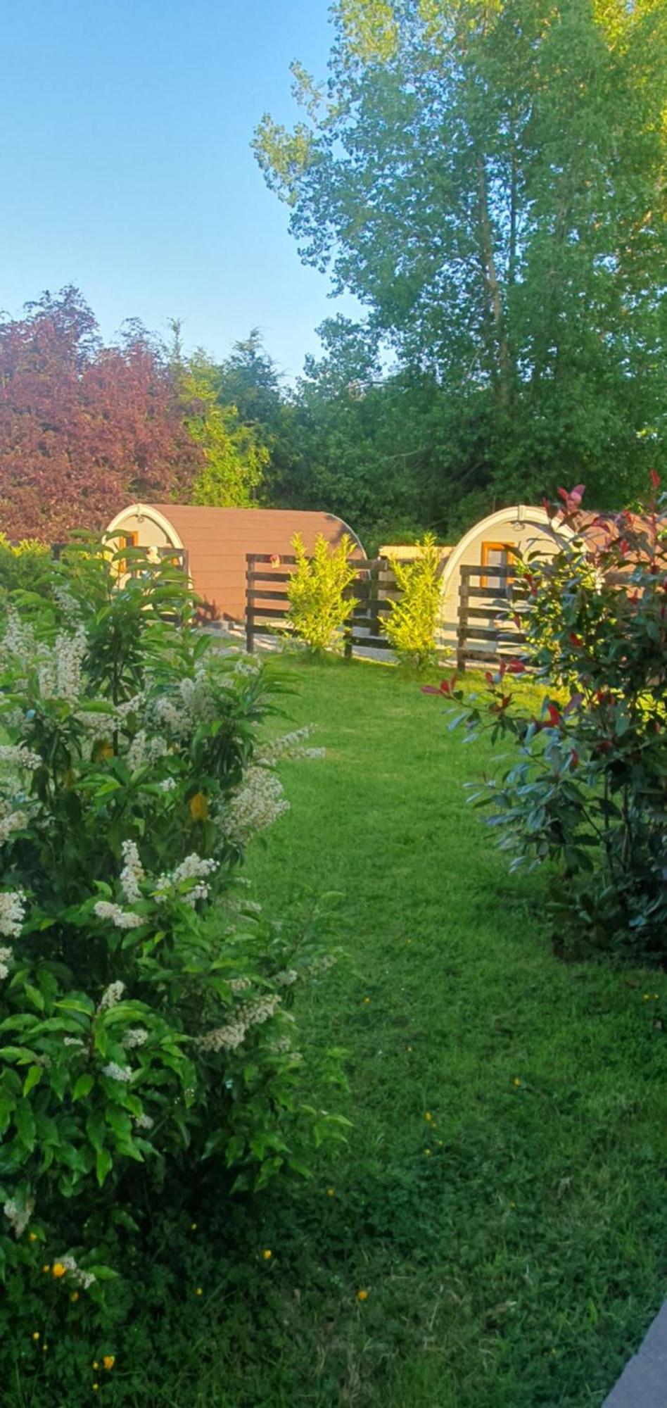 Priory Glamping Pods And Guest Accommodation Killarney Eksteriør billede