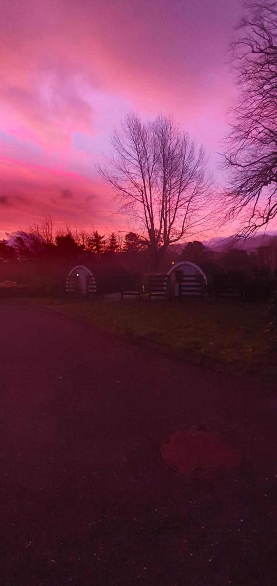 Priory Glamping Pods And Guest Accommodation Killarney Eksteriør billede