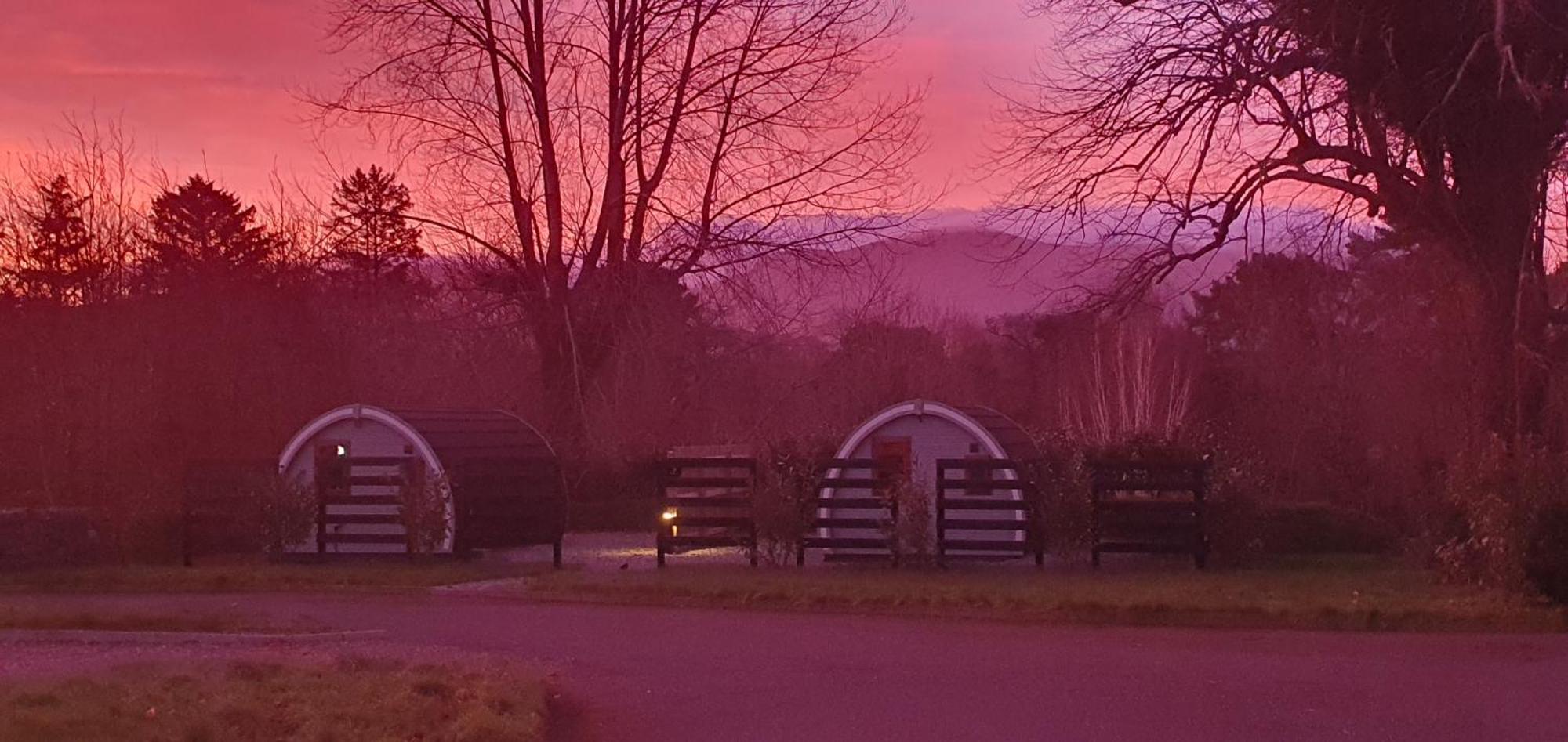 Priory Glamping Pods And Guest Accommodation Killarney Eksteriør billede