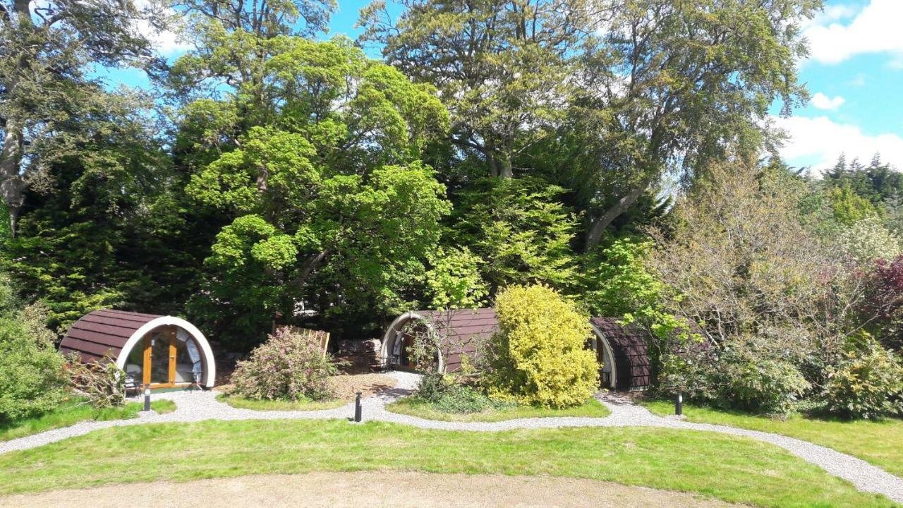 Priory Glamping Pods And Guest Accommodation Killarney Eksteriør billede