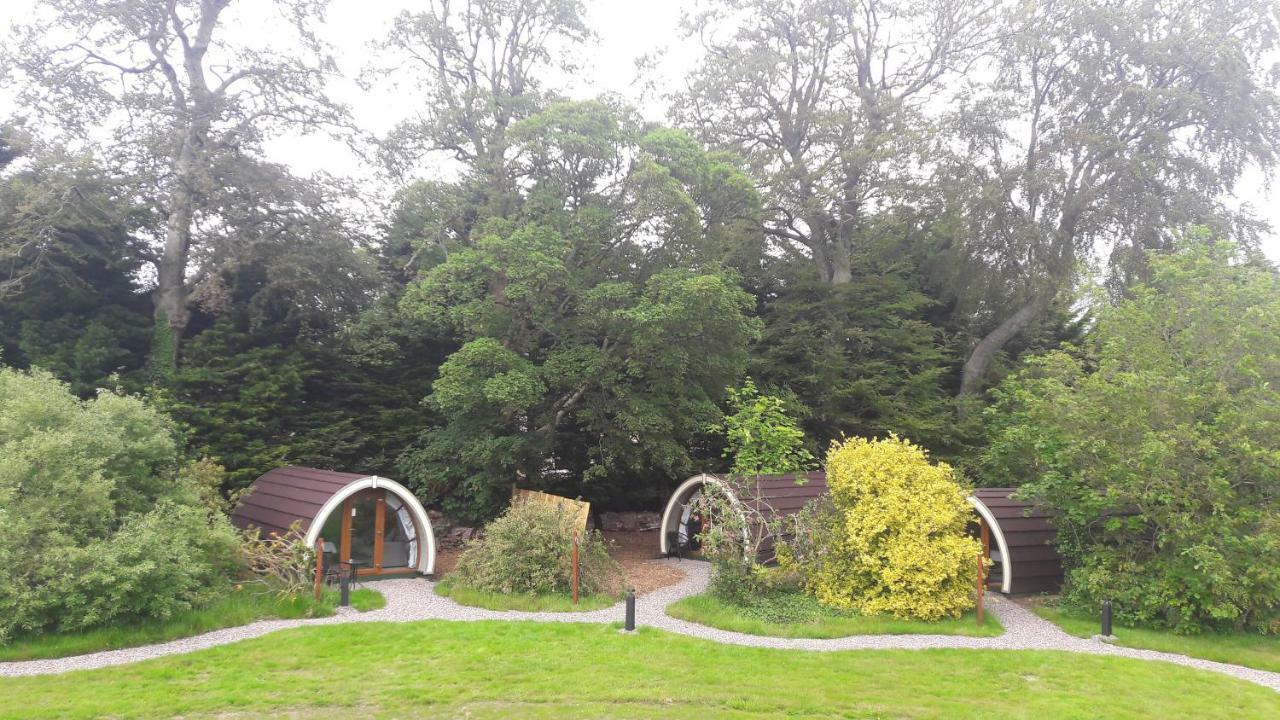 Priory Glamping Pods And Guest Accommodation Killarney Eksteriør billede