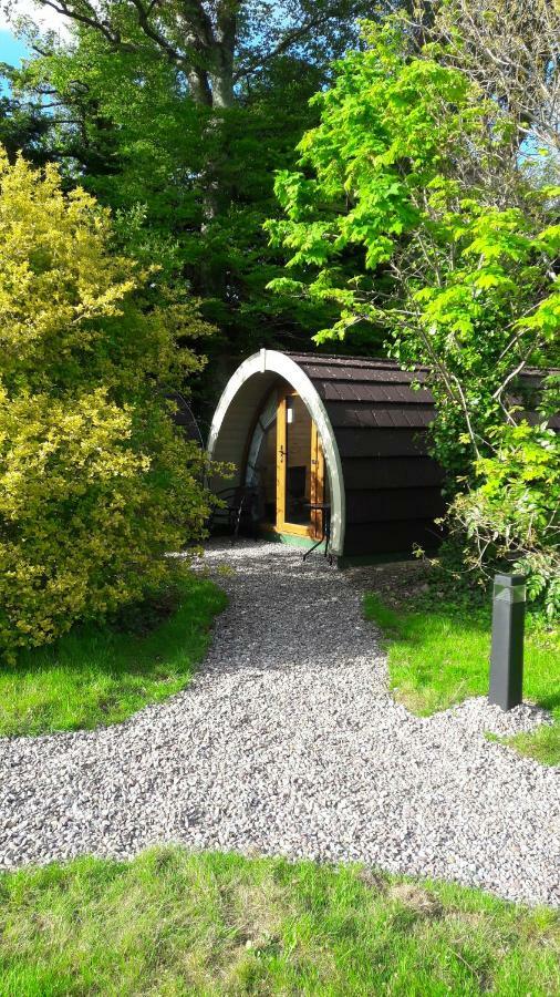 Priory Glamping Pods And Guest Accommodation Killarney Eksteriør billede