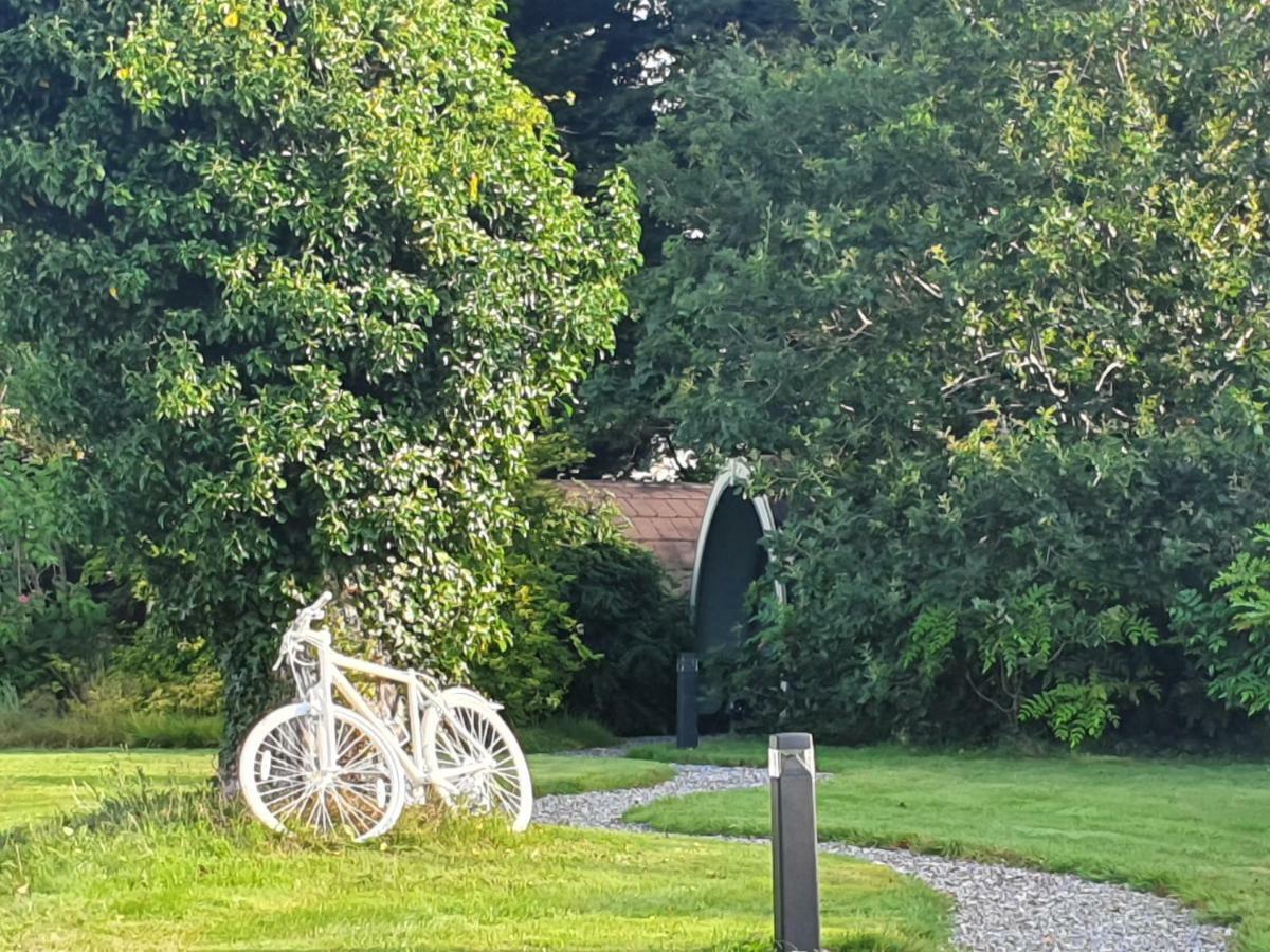 Priory Glamping Pods And Guest Accommodation Killarney Eksteriør billede