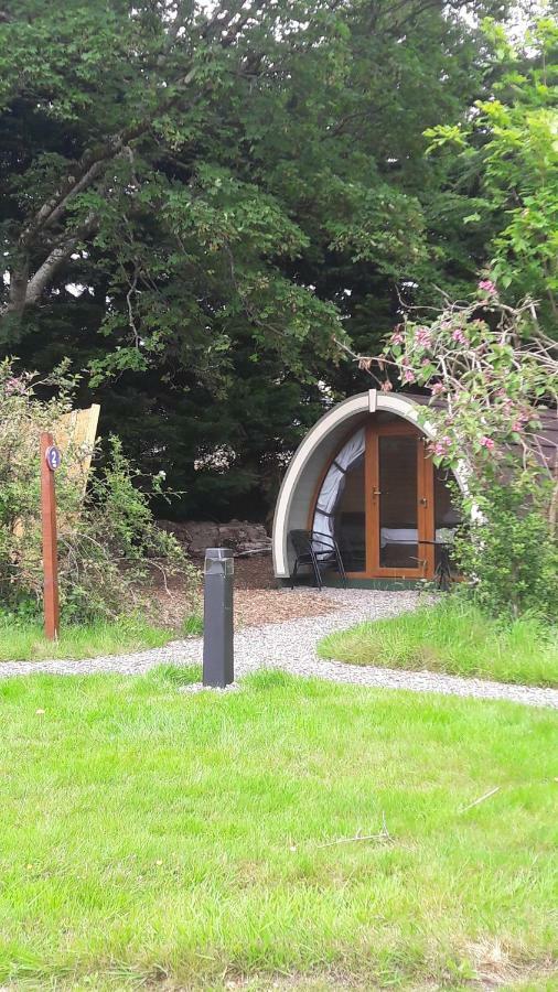 Priory Glamping Pods And Guest Accommodation Killarney Eksteriør billede