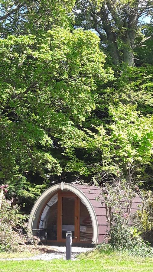 Priory Glamping Pods And Guest Accommodation Killarney Eksteriør billede