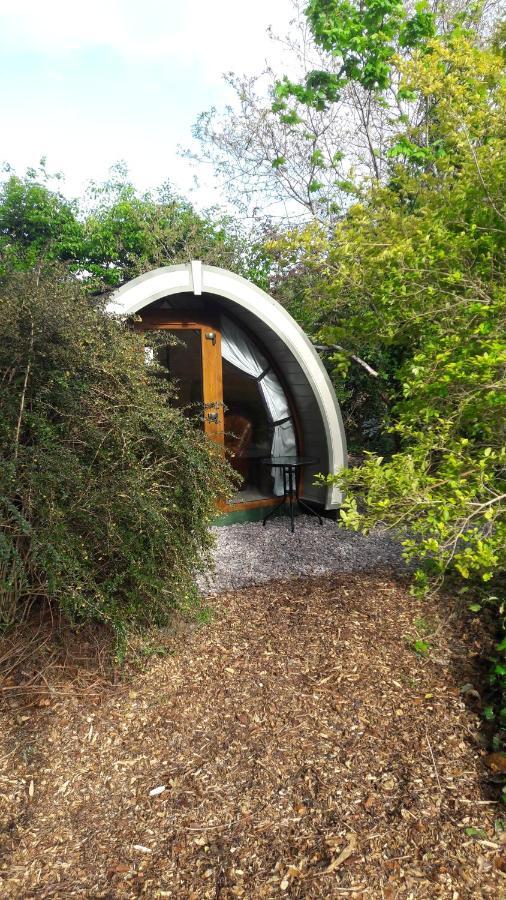 Priory Glamping Pods And Guest Accommodation Killarney Eksteriør billede