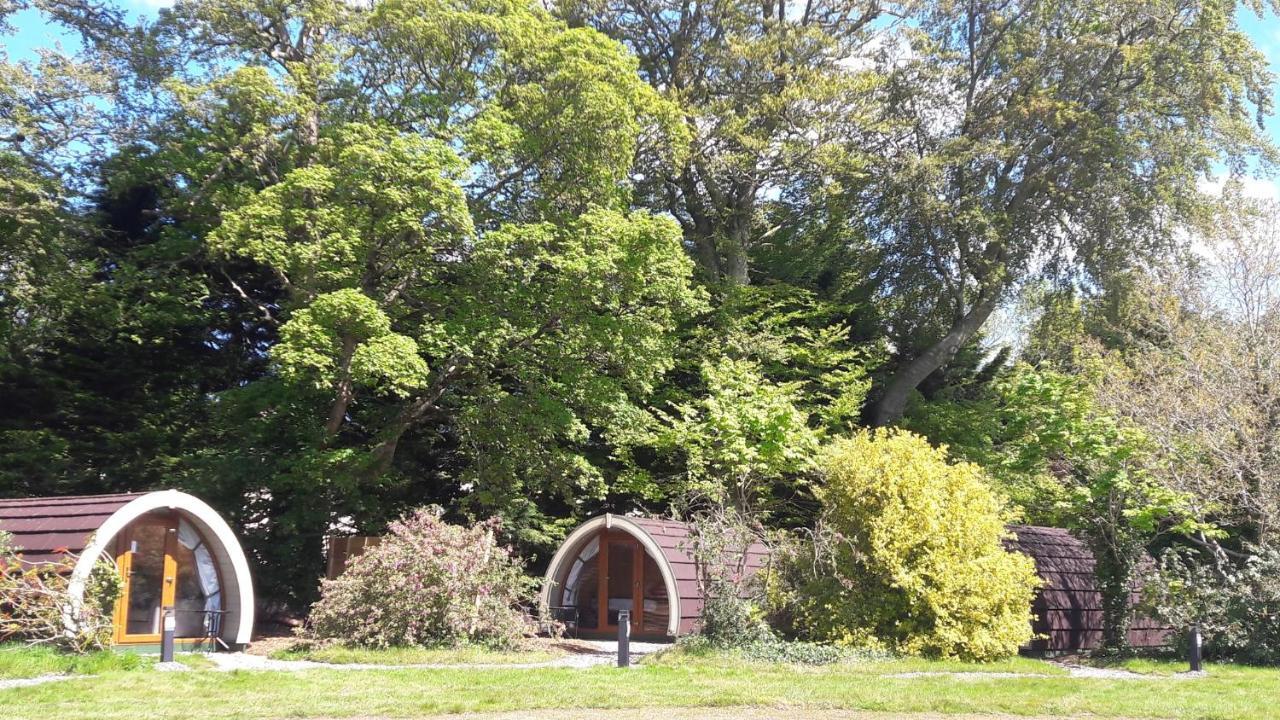 Priory Glamping Pods And Guest Accommodation Killarney Eksteriør billede